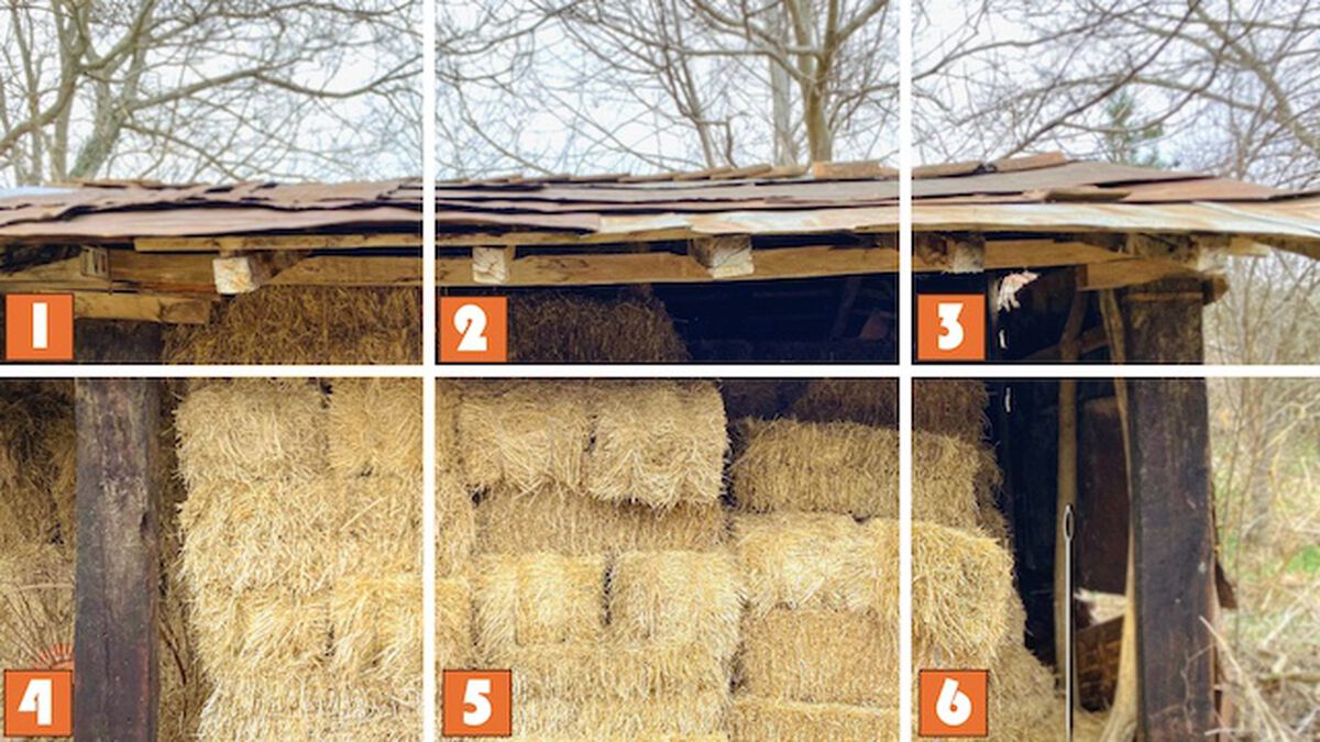 Needle in a Haystack image number null